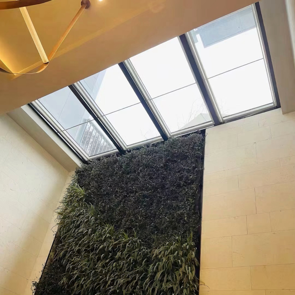 SKYLIGHT - Image 2